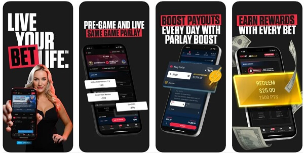 Seductive Online Cricket Betting App